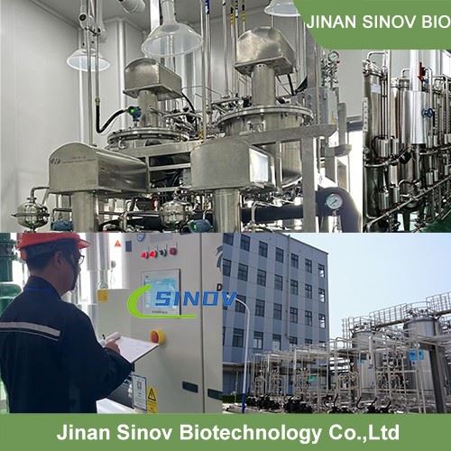 Astragalus Extract Calycosin factory